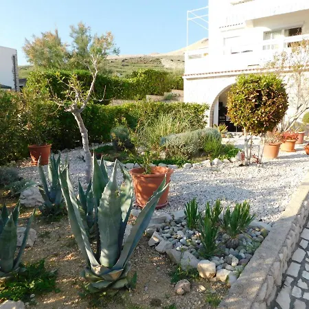 Apartment Salus Pag Town