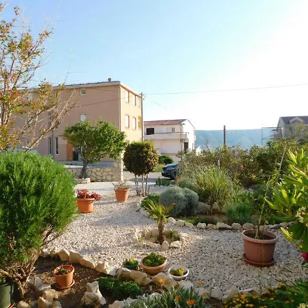 Apartment Salus
