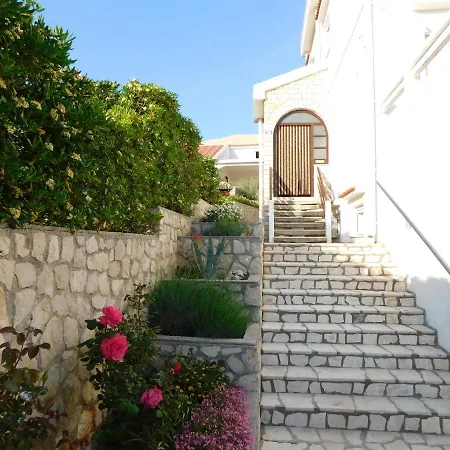Apartment Salus *