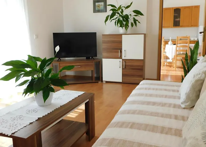 Apartment Salus Pag Town